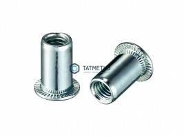 Заклепка резьбовая цилиндрический борт М 6  (1000 шт/уп) КL -  магазин крепежа «ТАТМЕТИЗ»