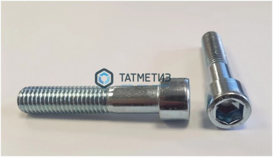 Винт с внутр 6-гр DIN 912, оц 12х 60 (уп 5 кг/ 84 шт)* | «ТАТМЕТИЗ» Винт с внутр 6-гр DIN 912, оц 12х 60 (уп 5 кг/ 84 шт)* - магазин крепежа «ТАТМЕТИЗ»